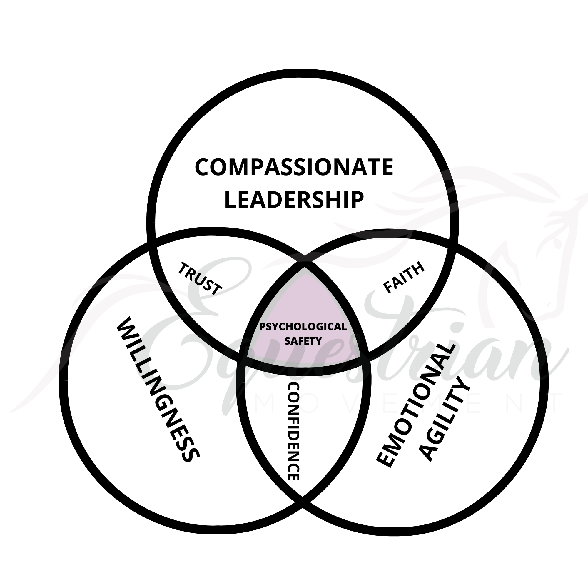 What is Holistic Horse Handling?