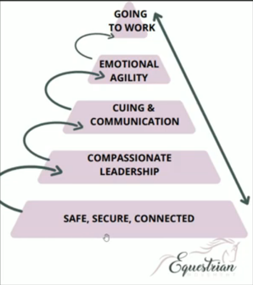 The number 1 mistake most people are making in their groundwork.