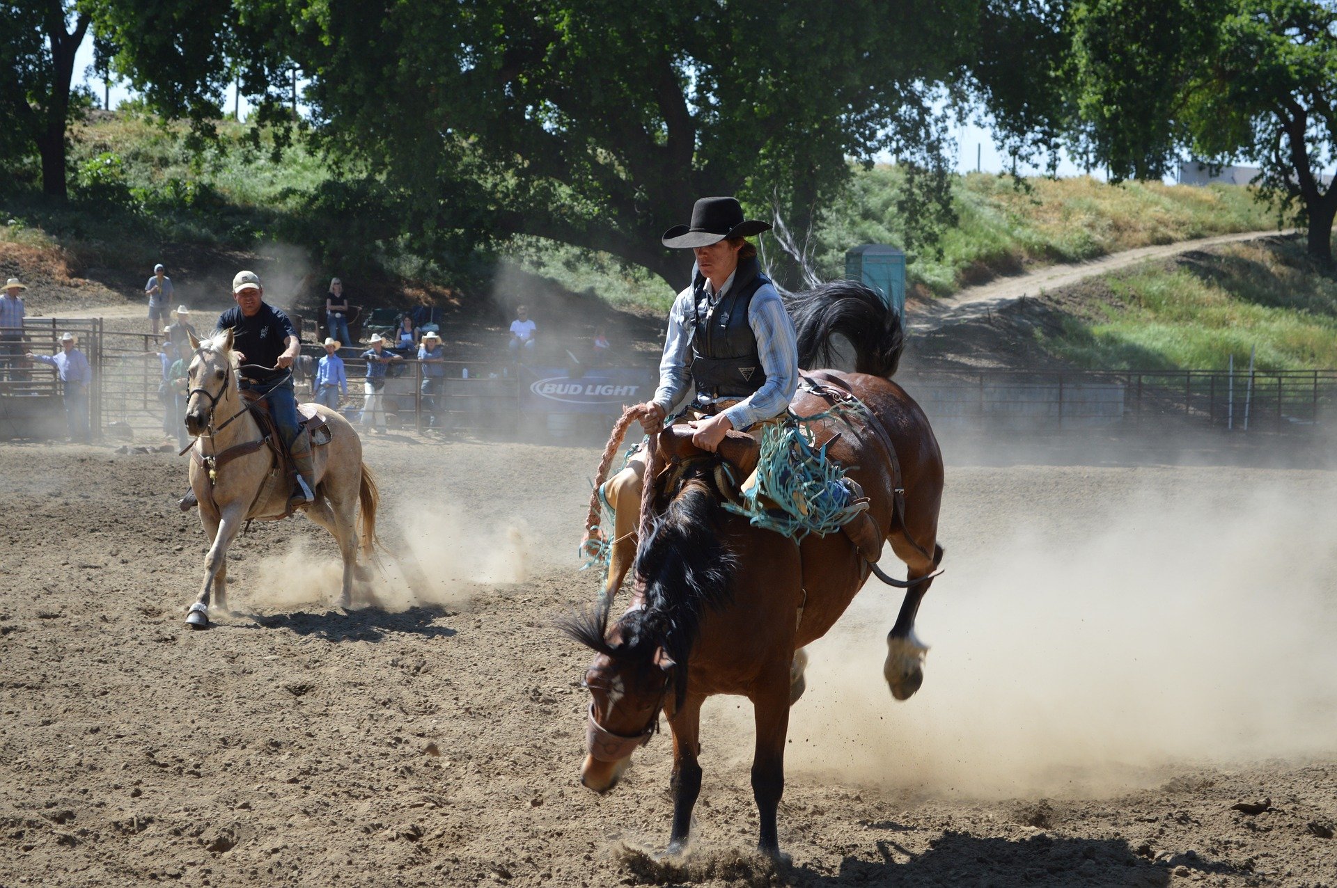 Are you strong enough for your horse?