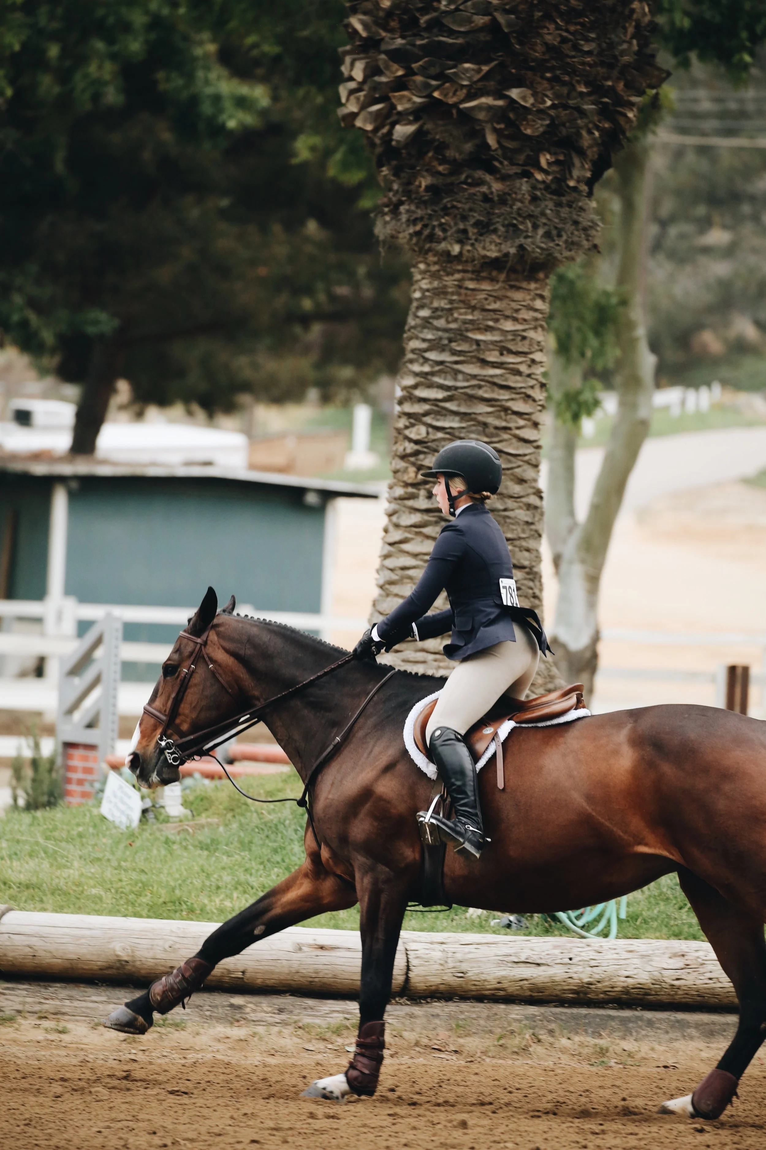 Is your horse meeting it's KPI's?