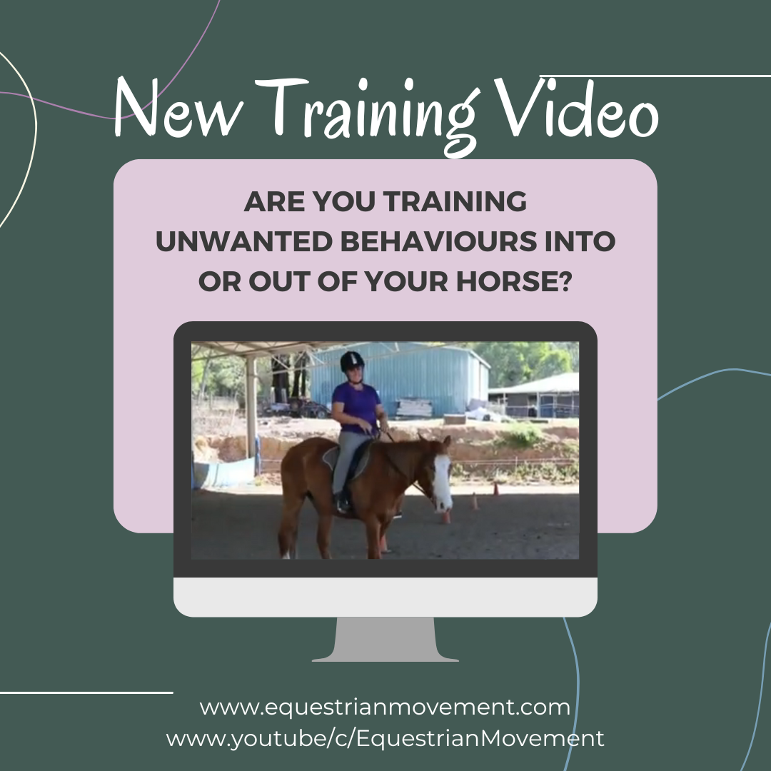 Are you training unwanted behaviours into your horse?