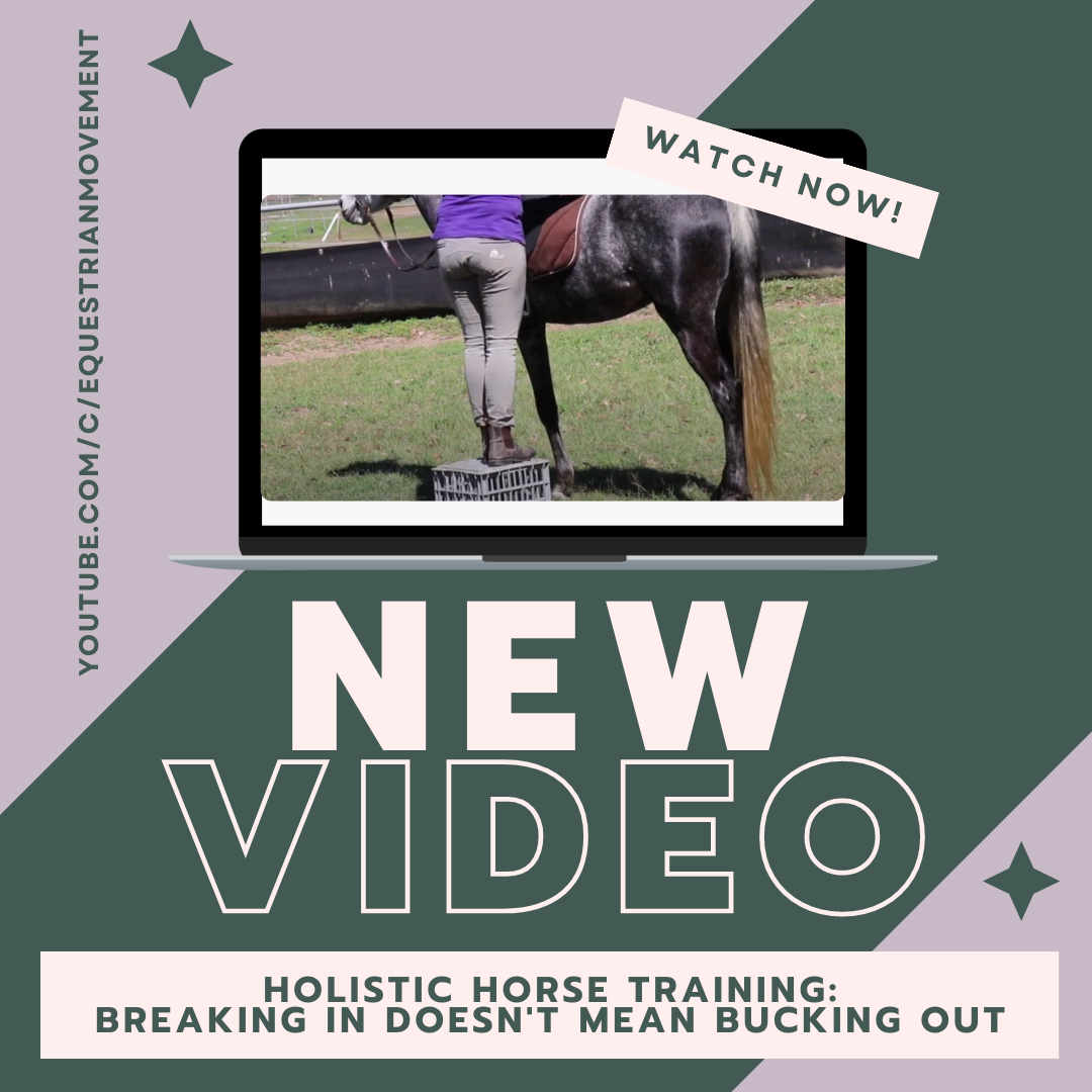 Does breaking your horse in mean bucking your horse out?