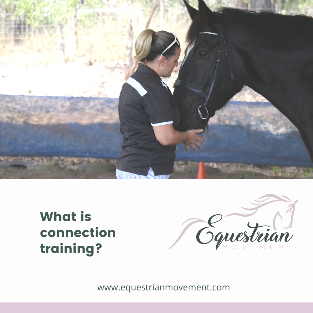 Equestrian Movement What is connection Training?