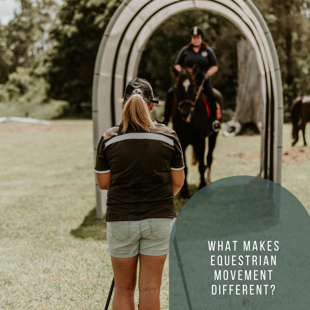 What makes Equestrian Movement different?