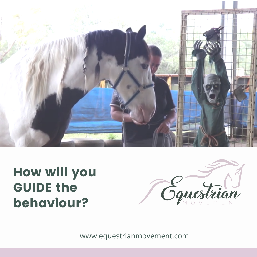 How will you guide the behaviour?