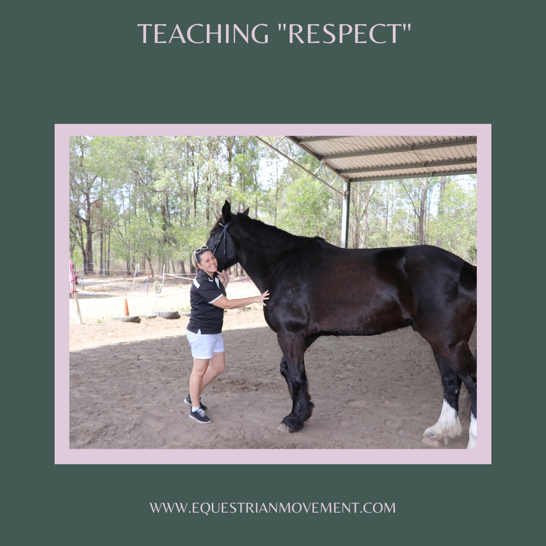 Teach your horse "respect"