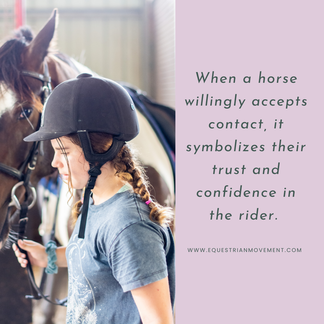 Nurturing Connection: Exploring the Power of Acceptance of Contact in Horses