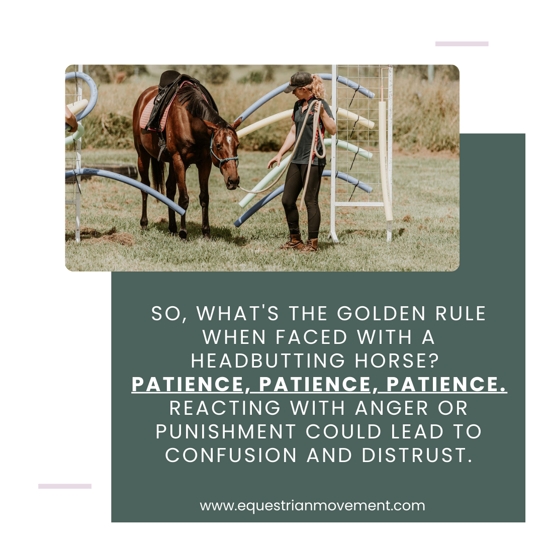 The Quirky Code: Deciphering Why Your Horse Plays Headbutt