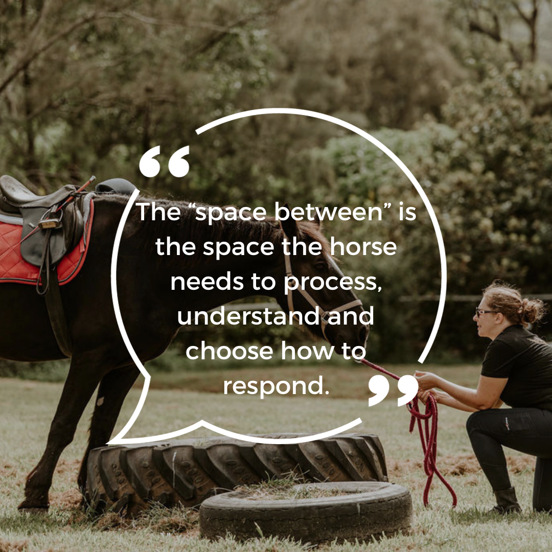 Focusing on the “space between”