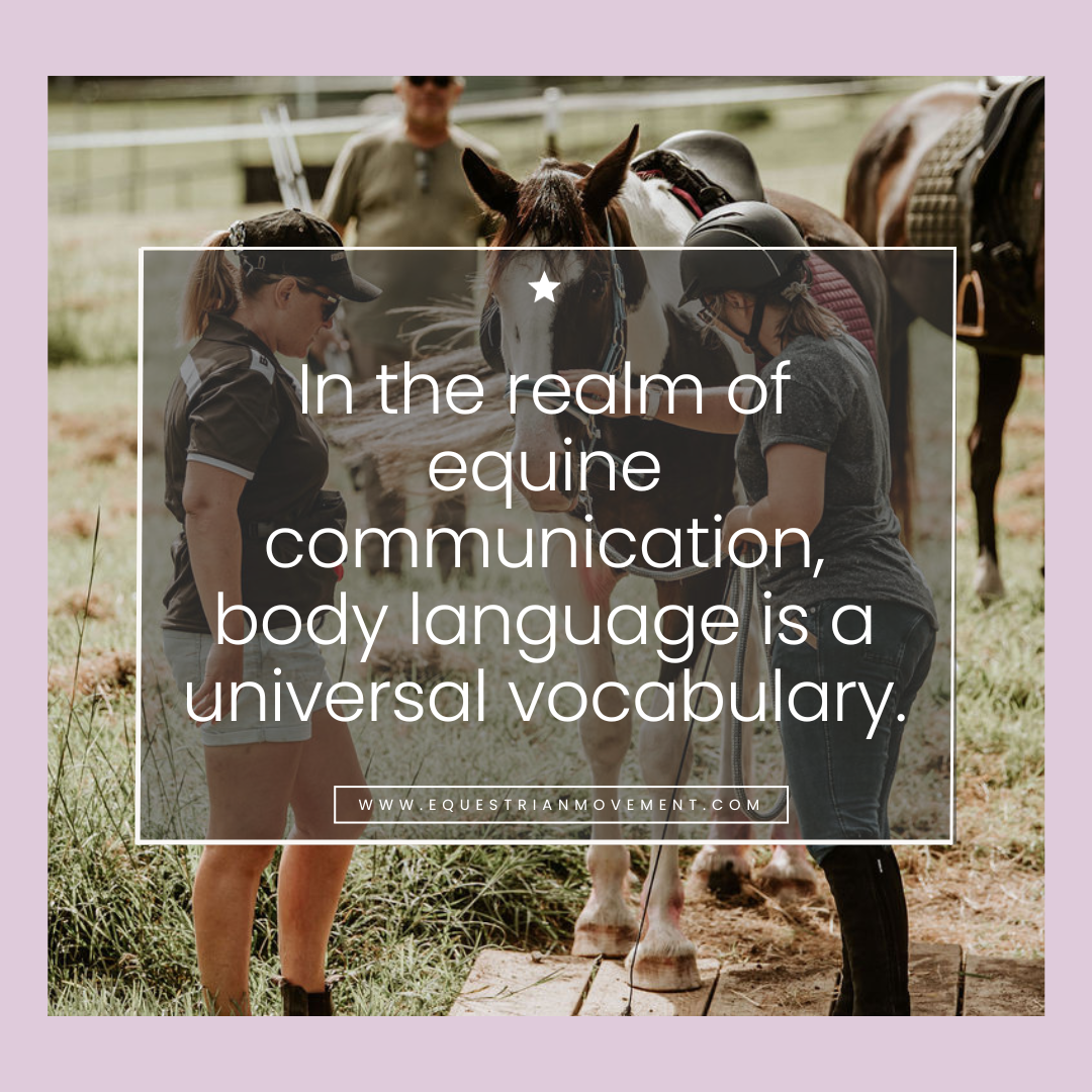 Is your horse sour on training?