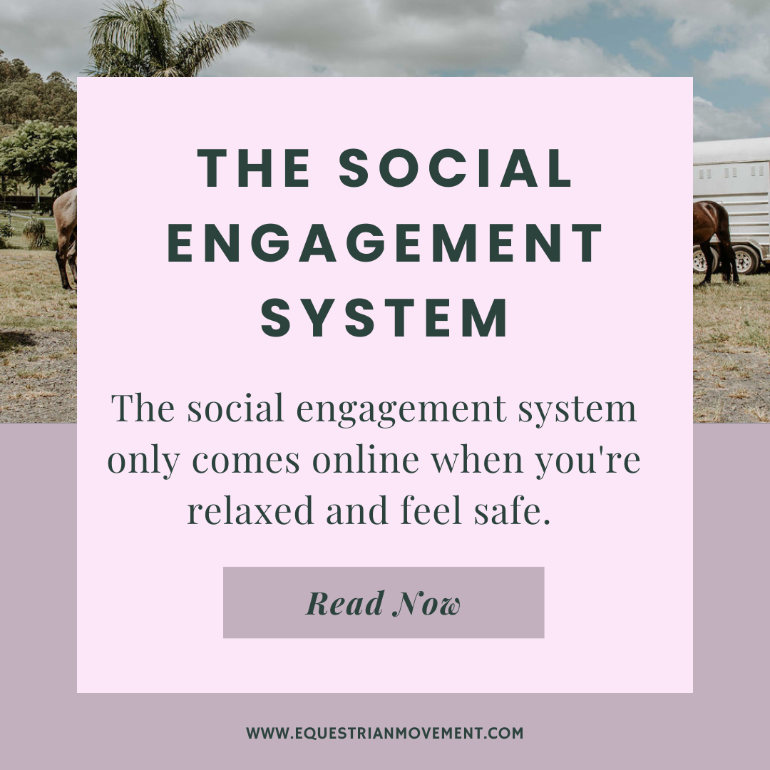The Social Engagement System