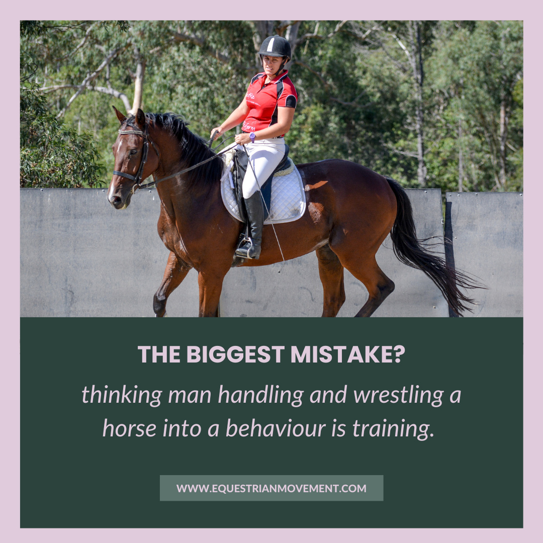 27+ How Much Are Horseback Riding Lessons
