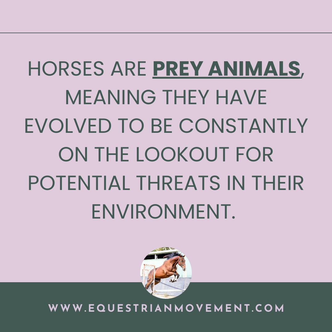 Unveiling the Secrets: What Horses Are Really Scared Of