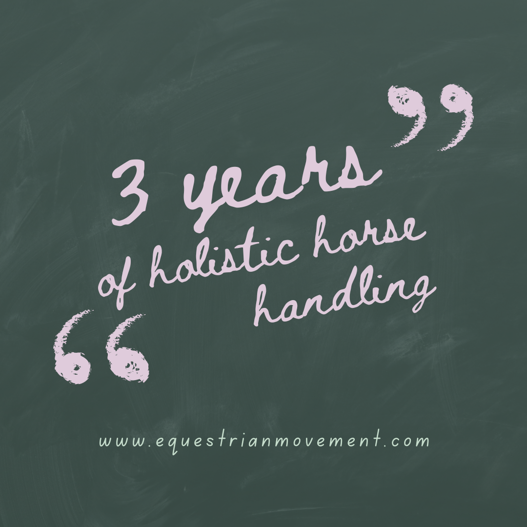 Embracing the Journey: 3 Years of Holistic Horse Handling