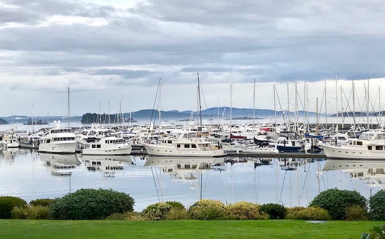 Sidney_Marina.jpg