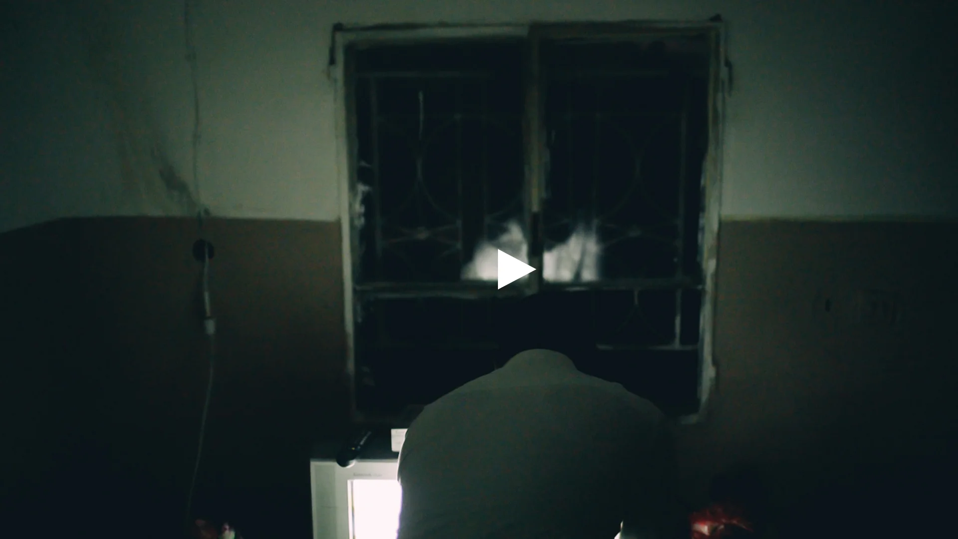 Afraid of Wolves play.jpg