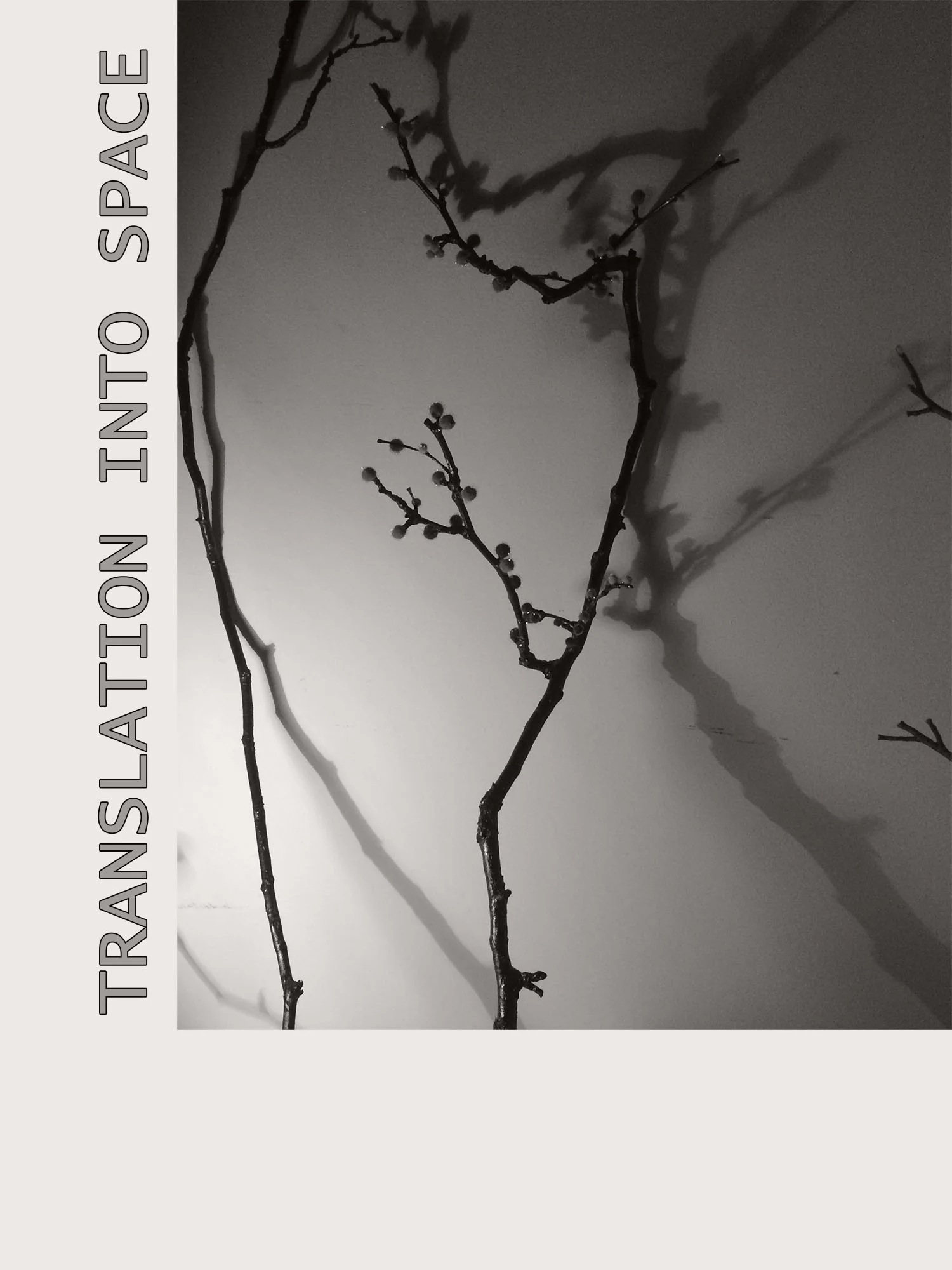 TRANSLATION INTO SPACE ICON1500A.jpg