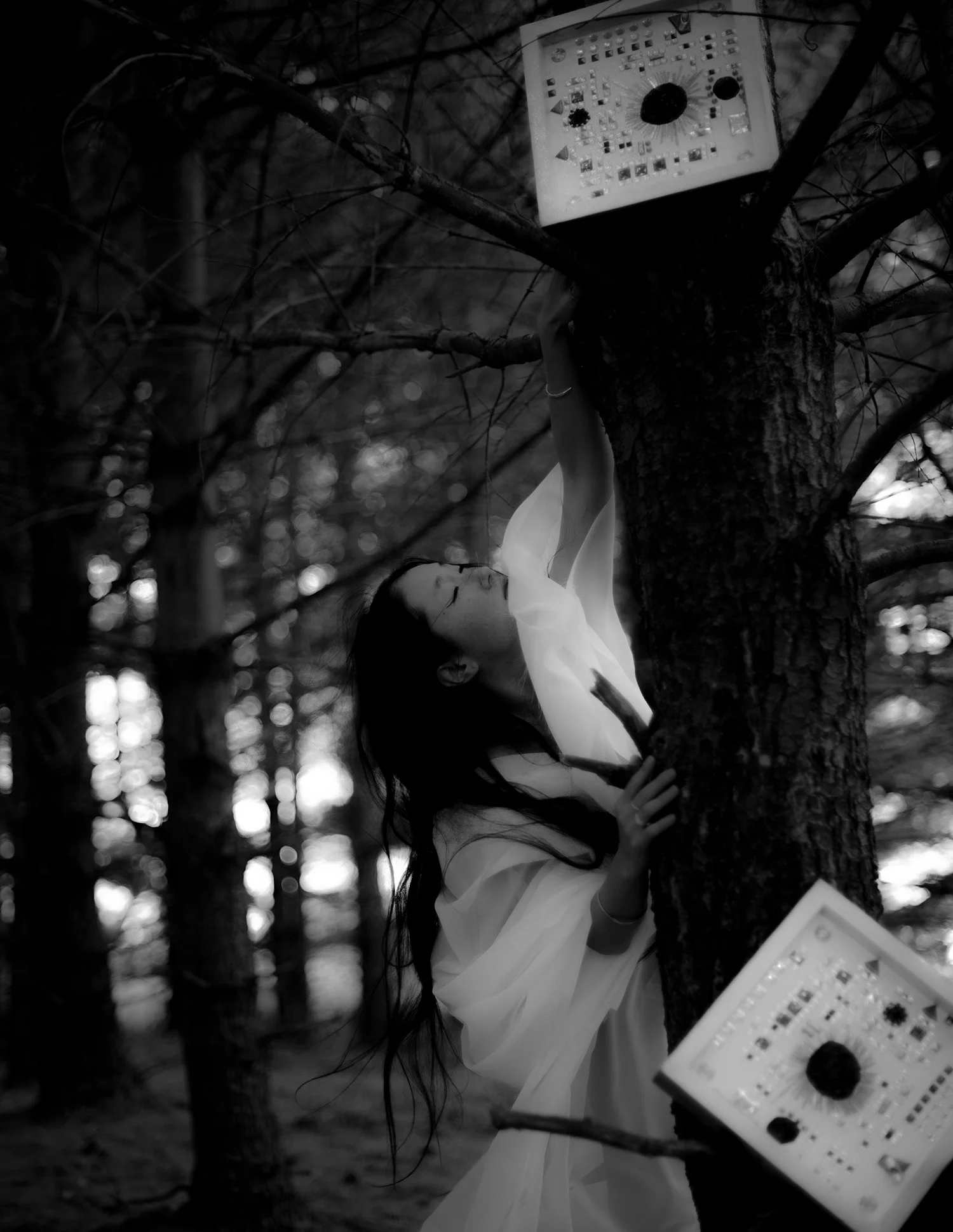 The Sound Image 2 1500.jpg