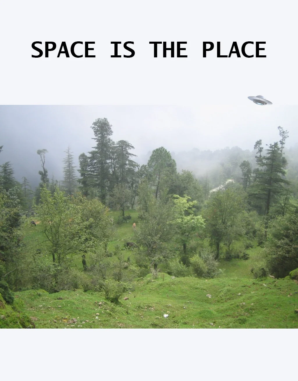 SPACE IS THE PLACE  logo.jpg