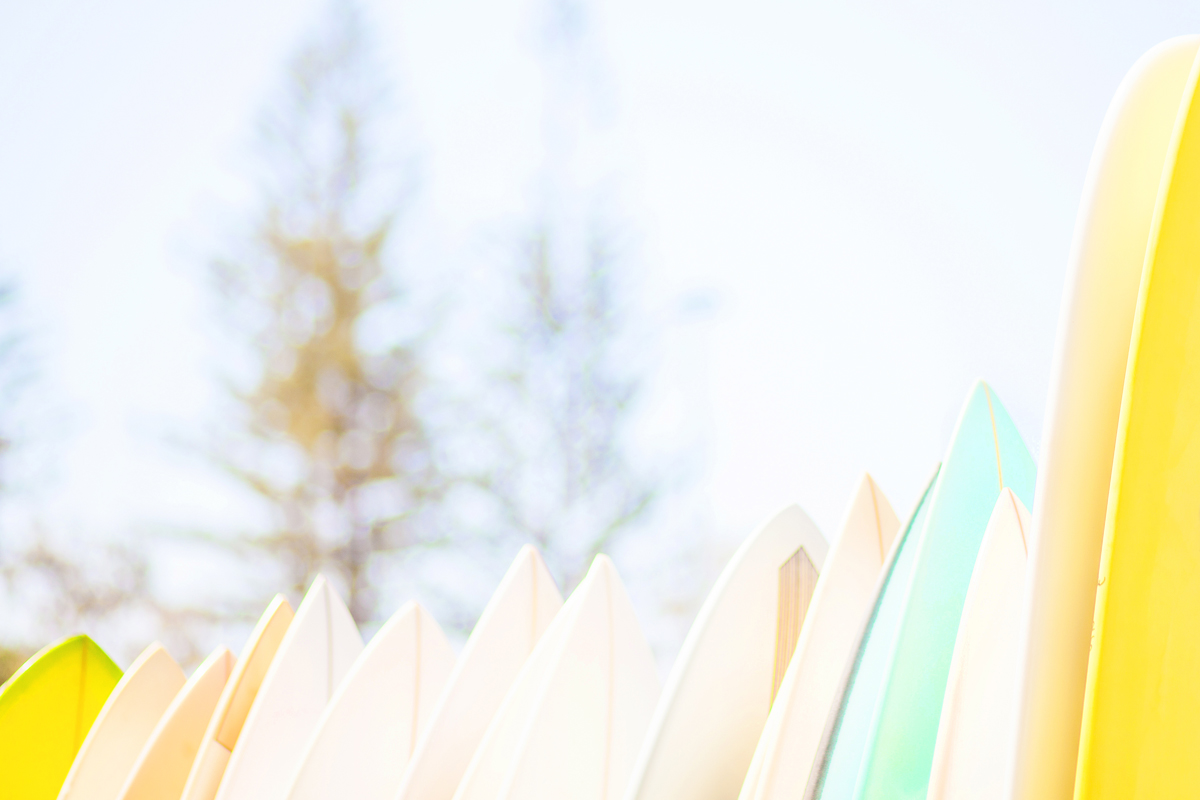 SURF DAYDREAMS.jpg
