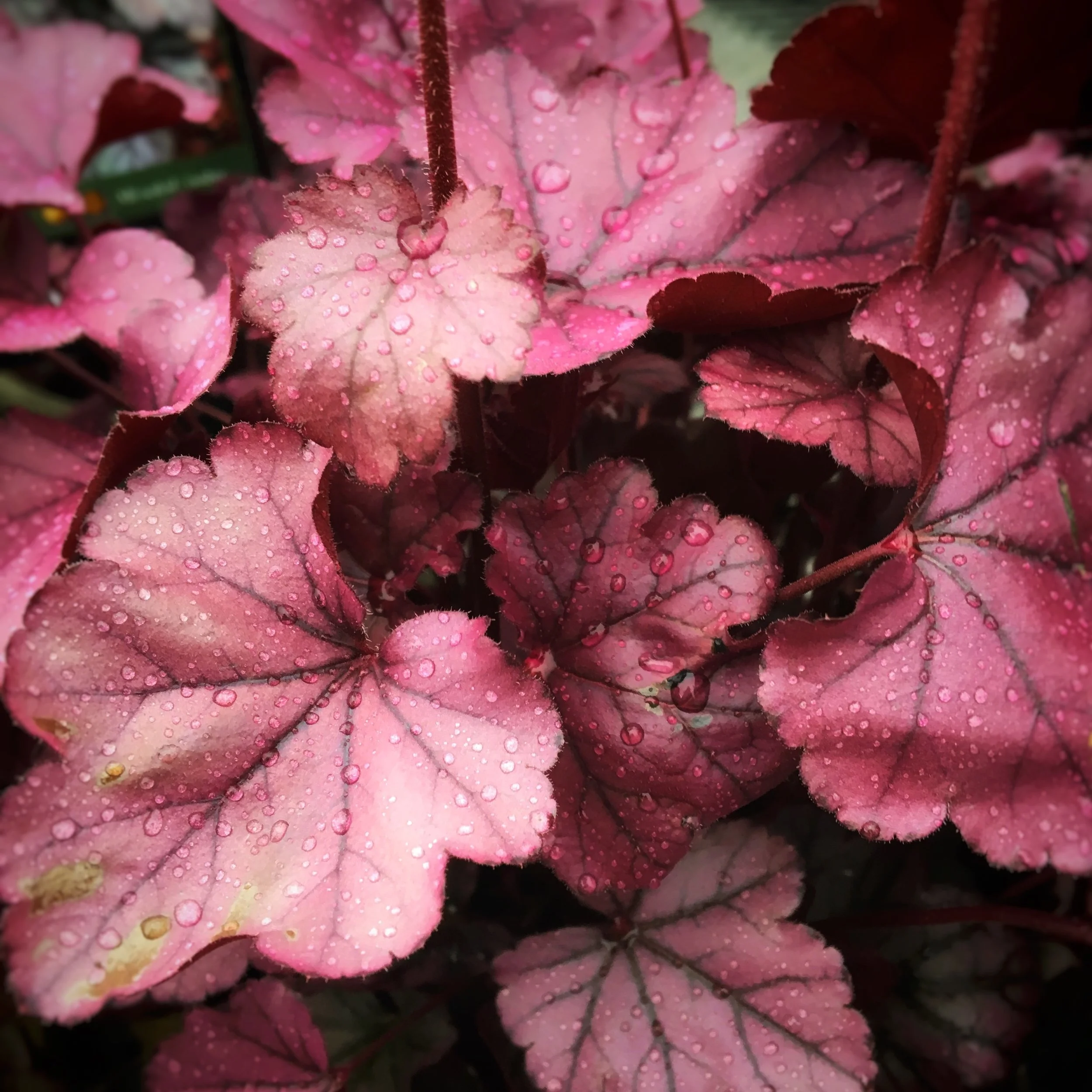 Thoughts I Had While Barely Managing to Contain Feelings of Overwhelming Anxiety Through a Seven-Hour Shift ​