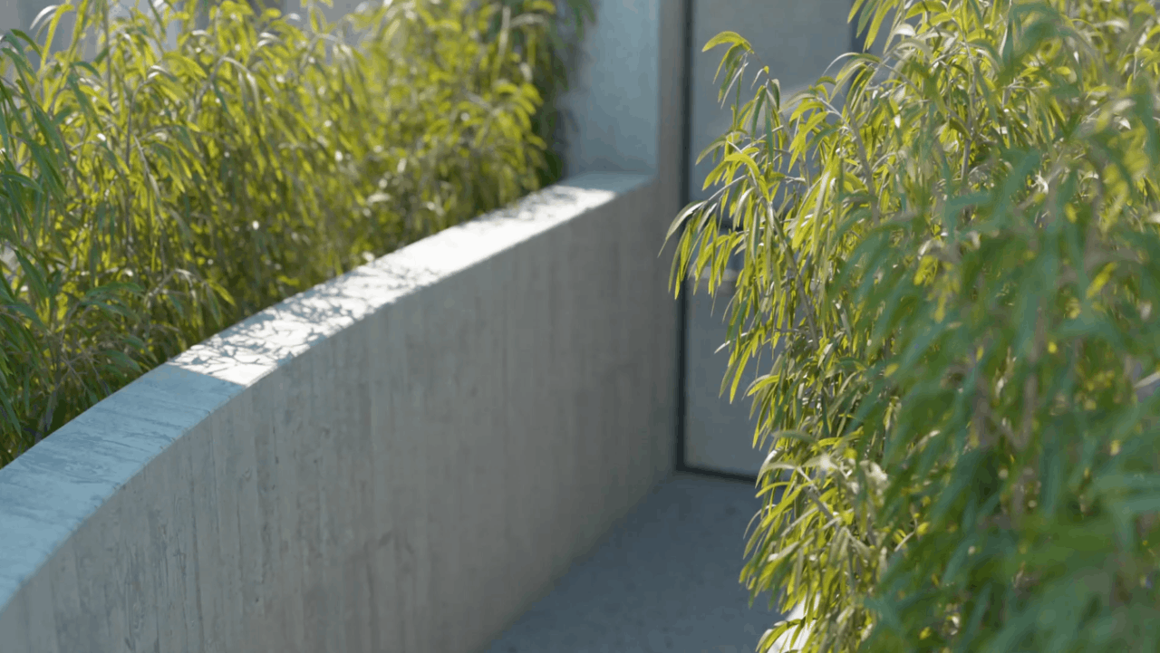 bamboo2.gif