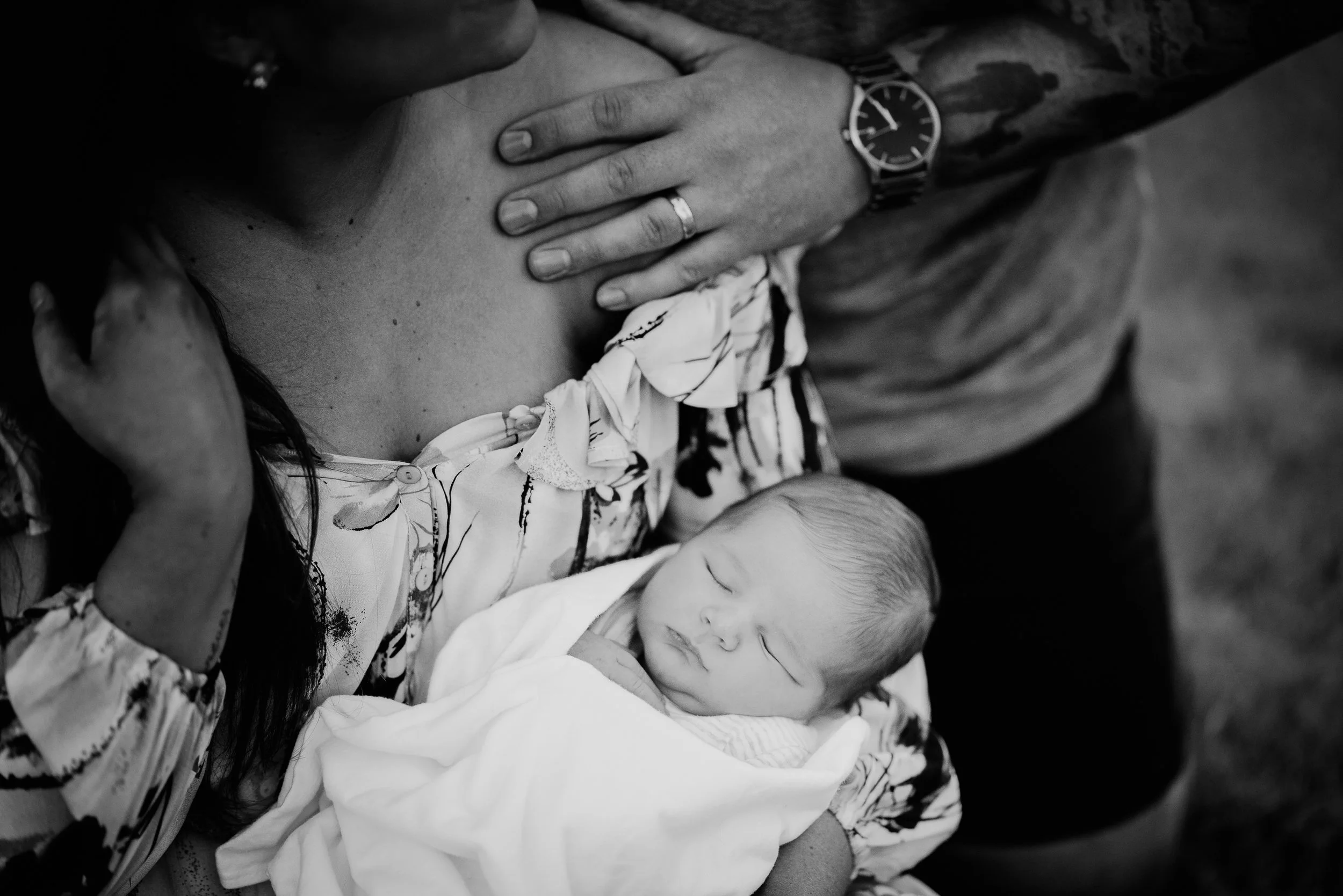 sjj171.JPG