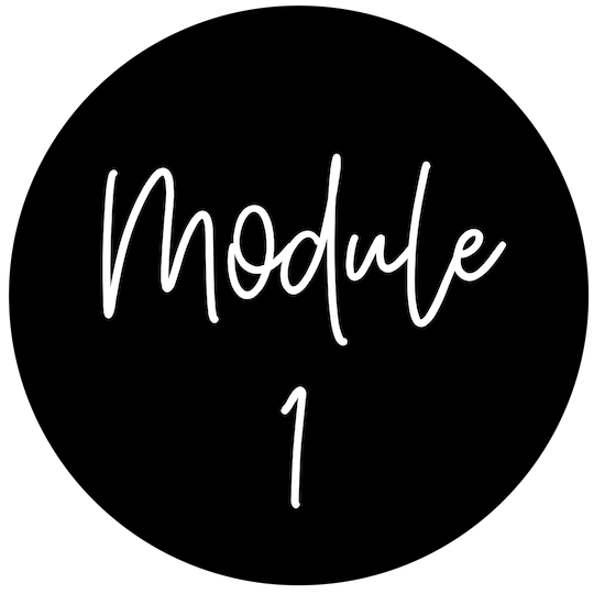 Module1.png