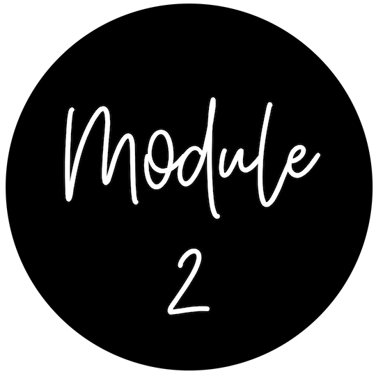 Module2.png