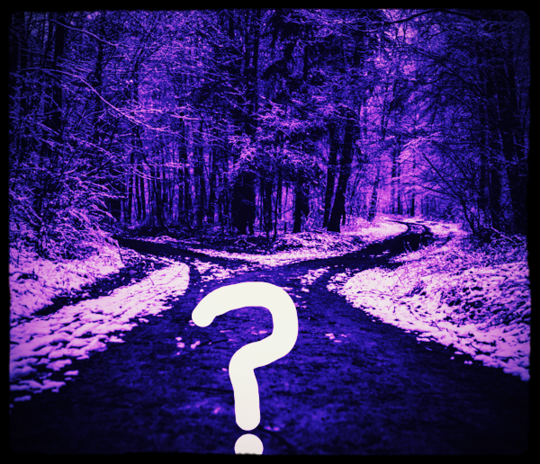 imageedit_8_8306845437.gif