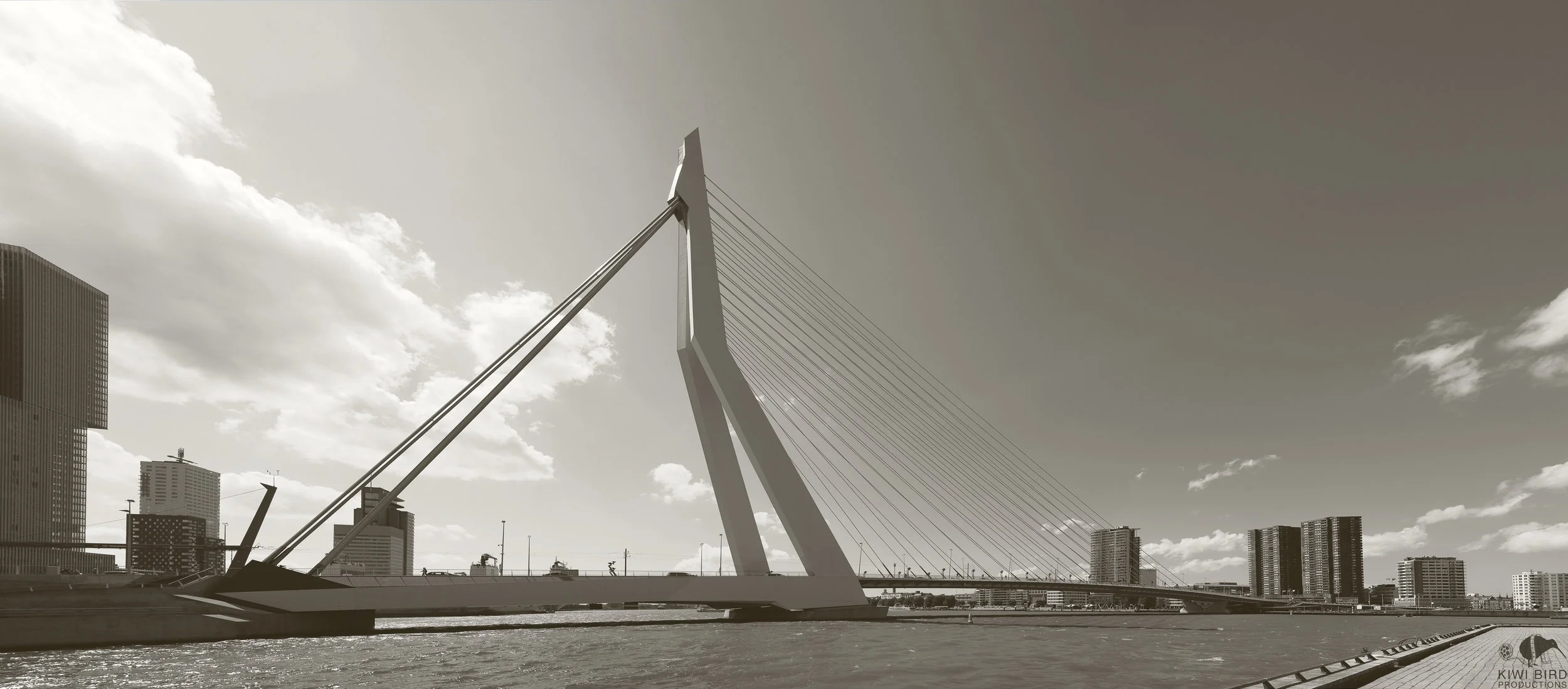 Erasmusbrug_Panorama.jpg