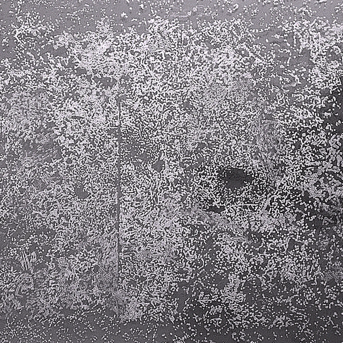 Vestigium [dust] / 2017 / etched plexiglas / 400x400x25mm