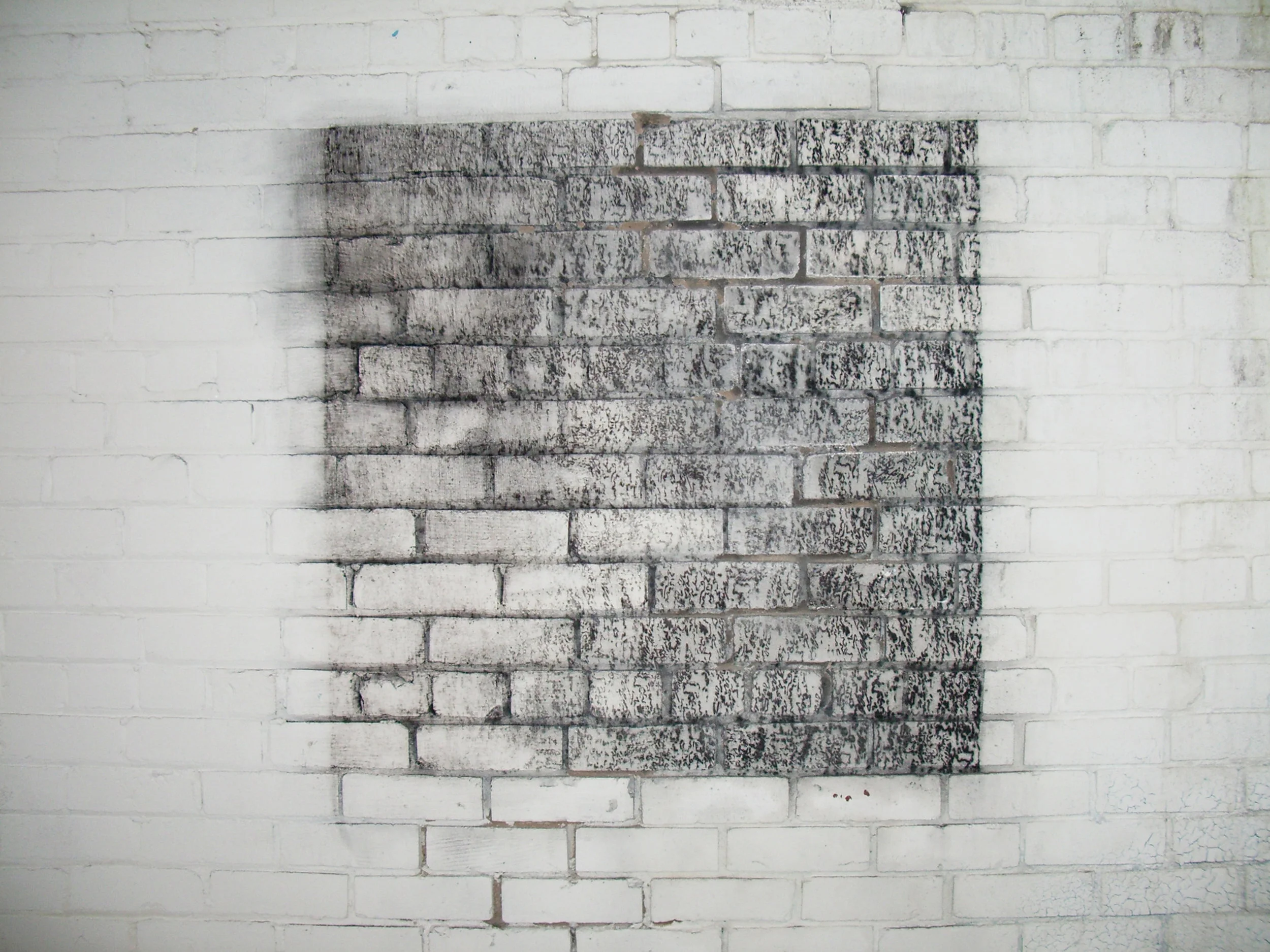 Strchybotry Atra [wd3] / 2008 / oxide black pigment / odv