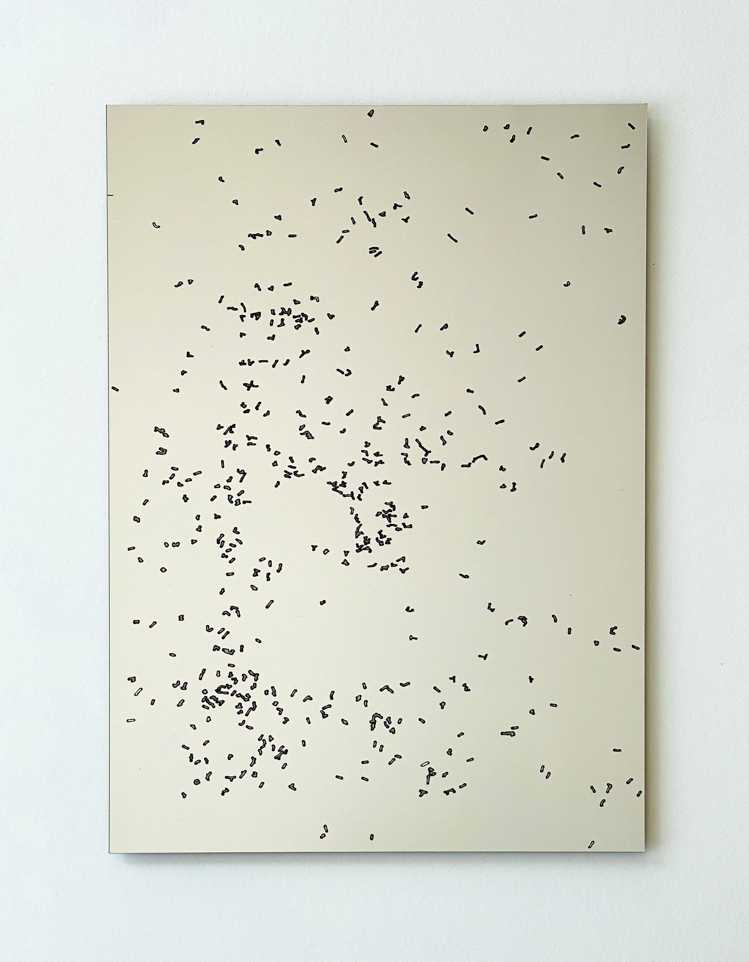 Vestigium Pulvis [Argenti], 2020 etched brushed aluminium laminate on black acrylic 5/5 each @ 297 x 420mm