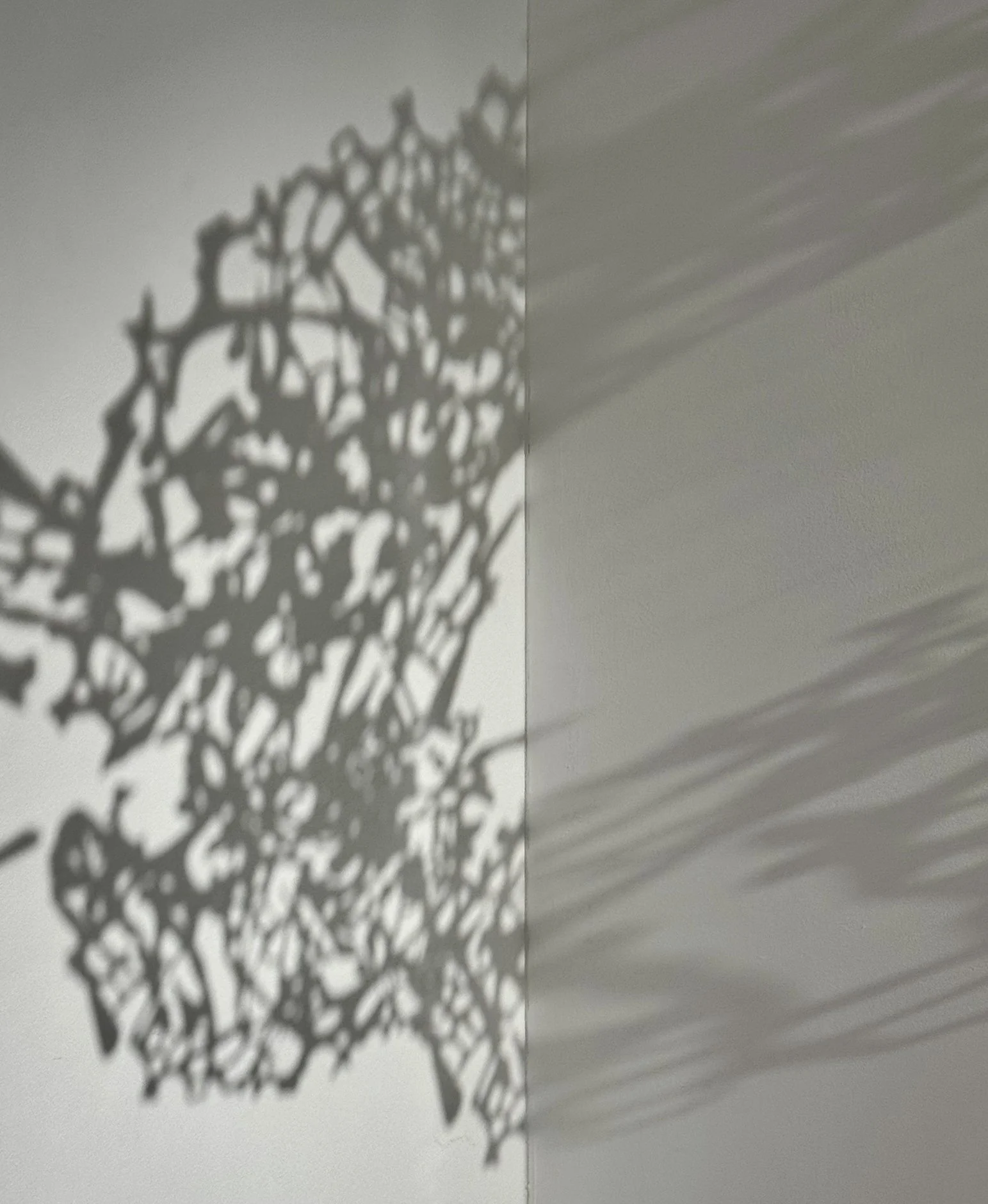 Segmentation Ostium [v1-3] ISD (shadow), 2025