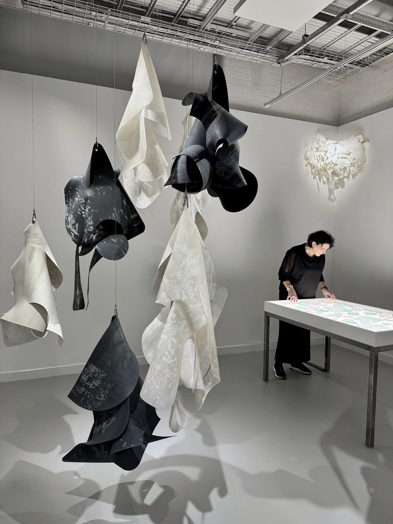 Helix Silicium [9], 2025 