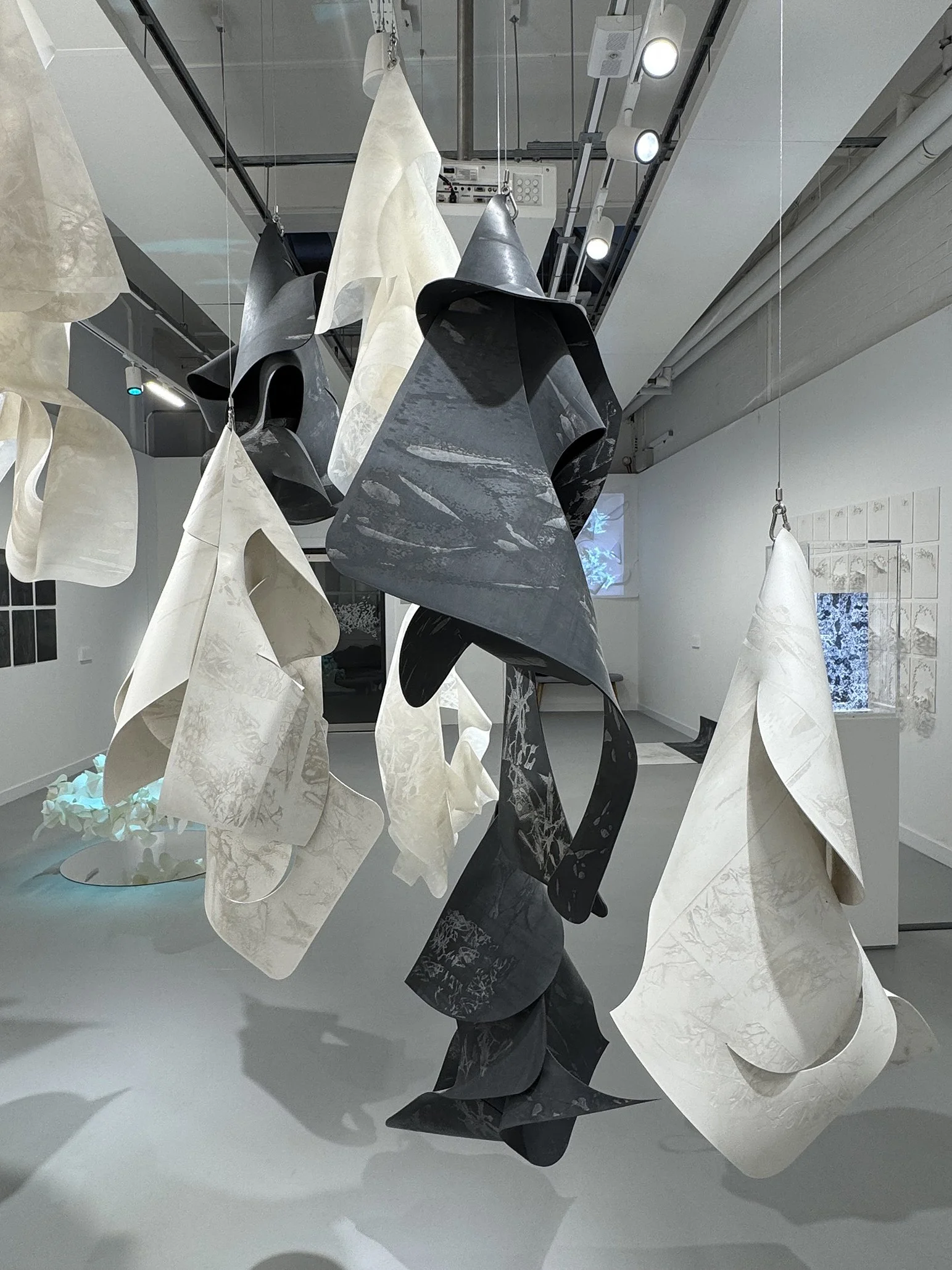 Helix Silicium [x9], 2025 