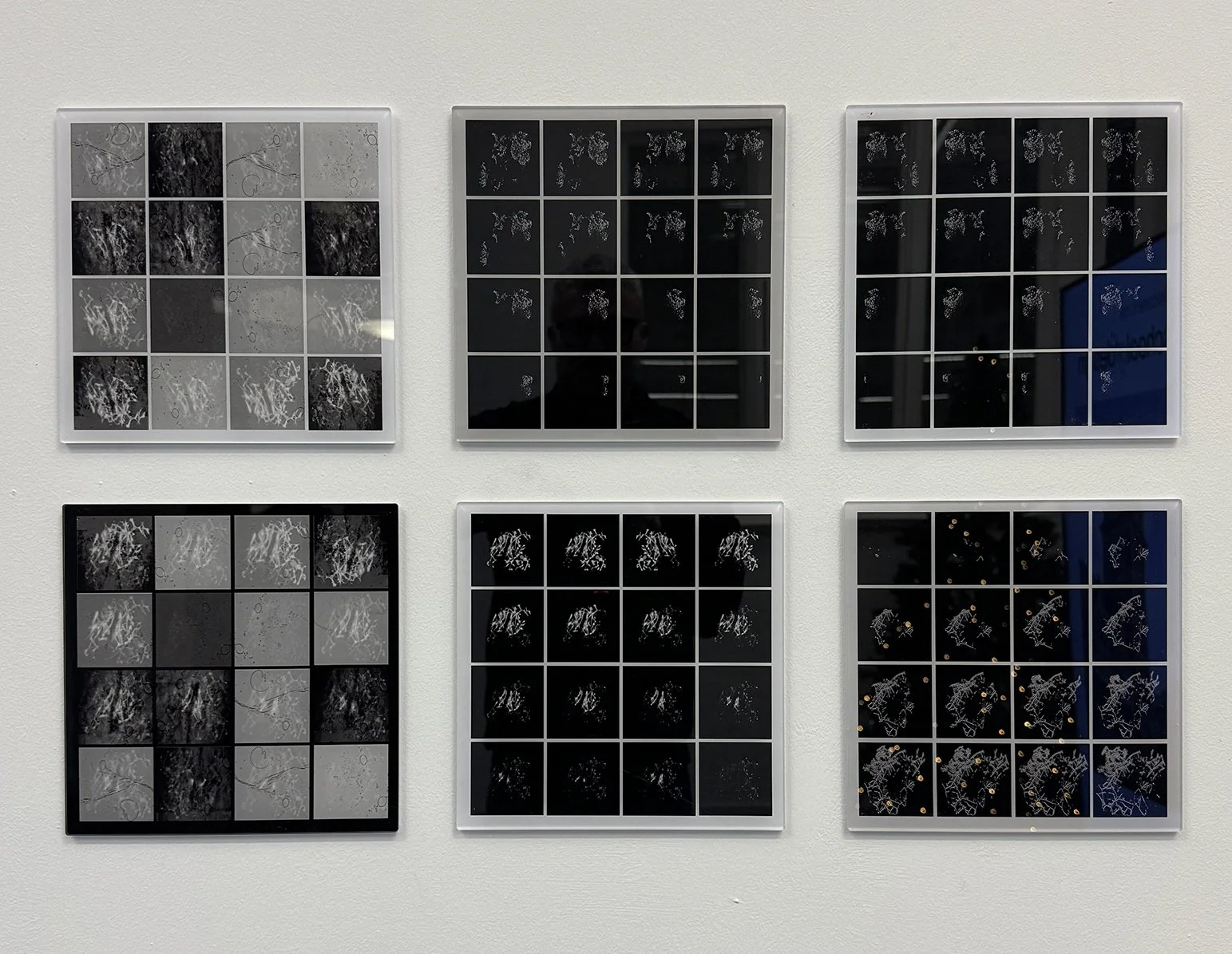 Conventus v1.1 - v1.6, 2025 