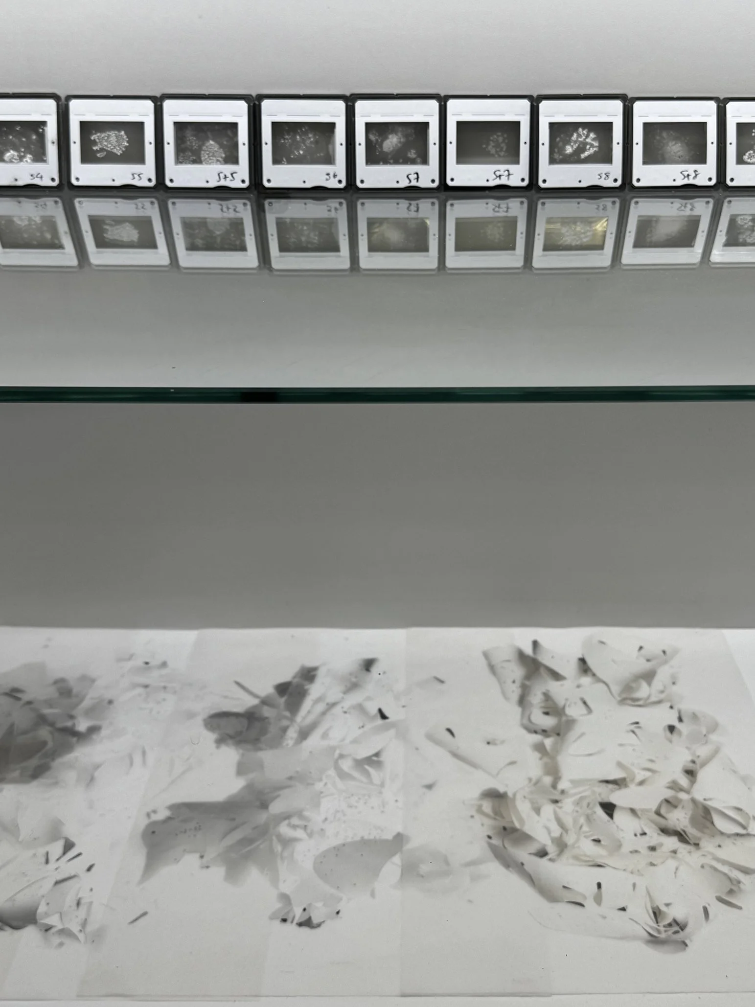 Saline 35mm, 2024 and Helix Tracing Paper Layer, 2023 