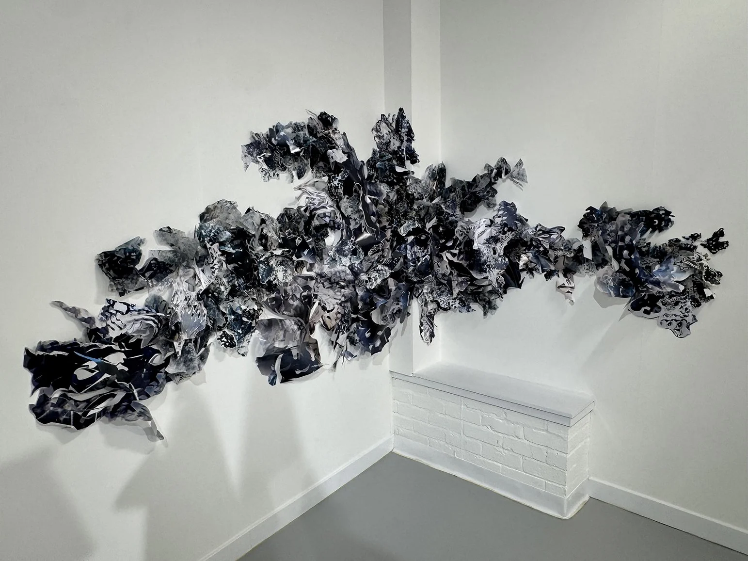 Typis [murus] charta SD, 2025 