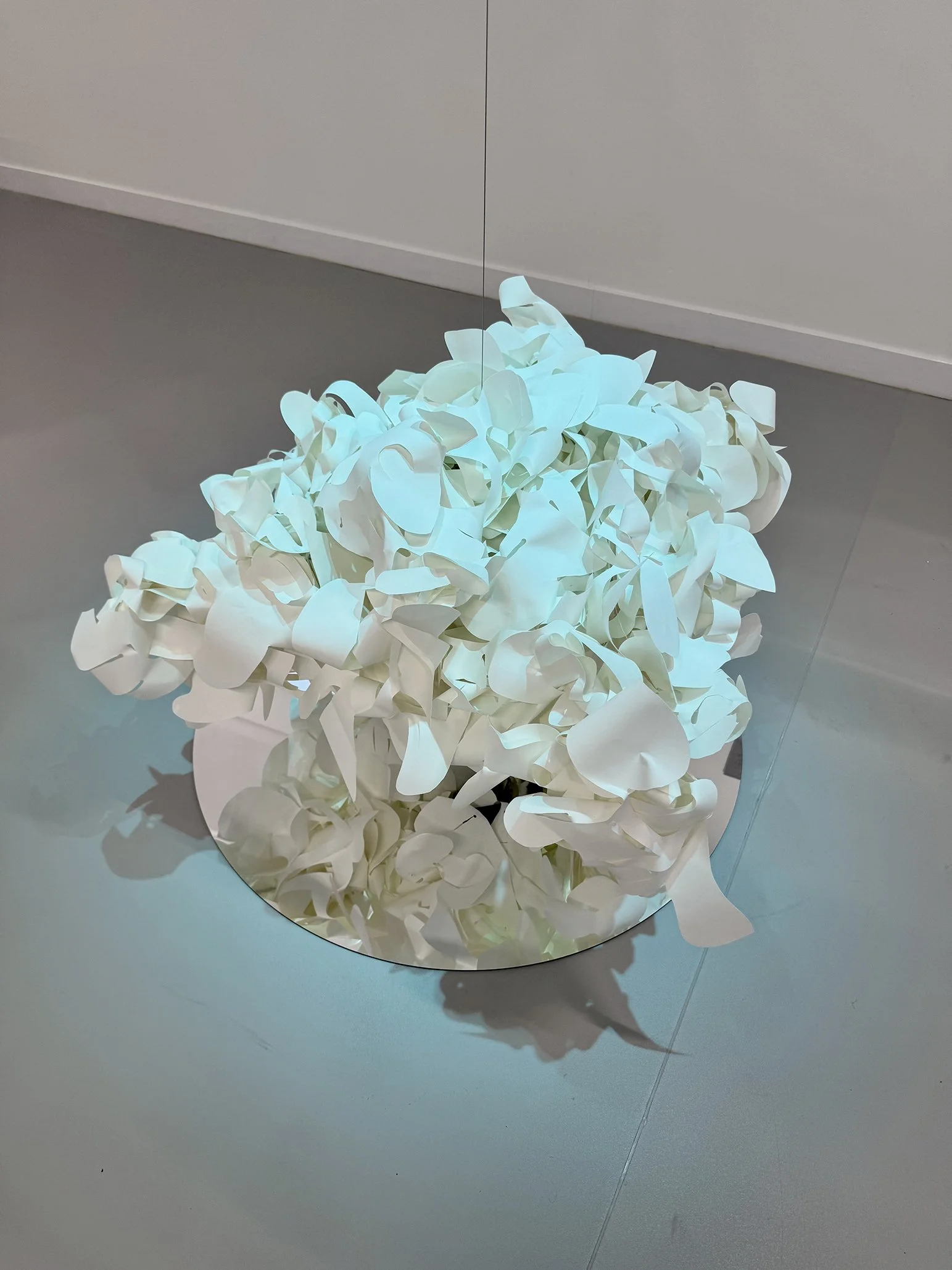 Helix Opt [SDb], 2025 