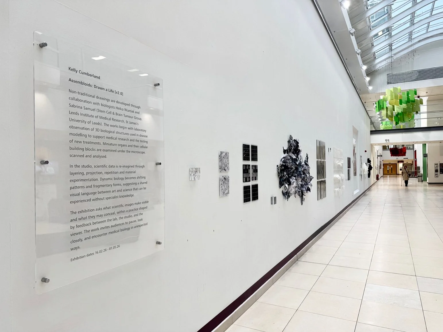 Assembloids: Drawn a Life [v2.0], 2026