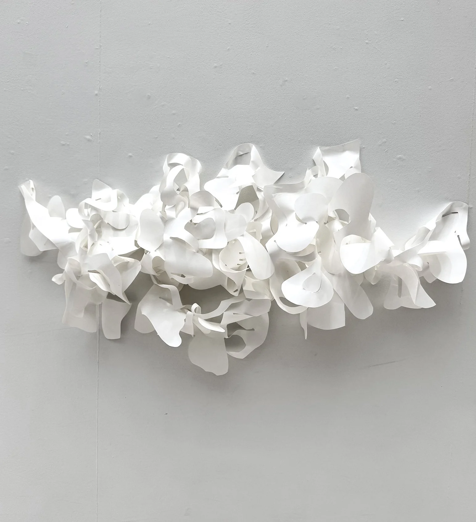 Charta Incidere Incrementum, 2026