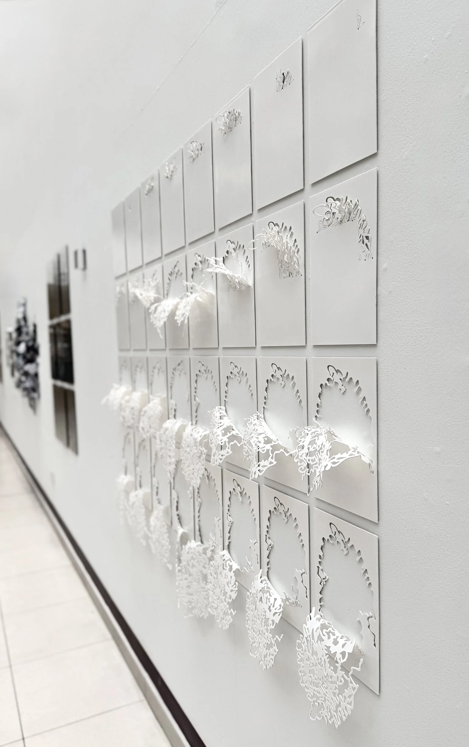 Prolaritus Silicis Albus [2 x16], 2022 