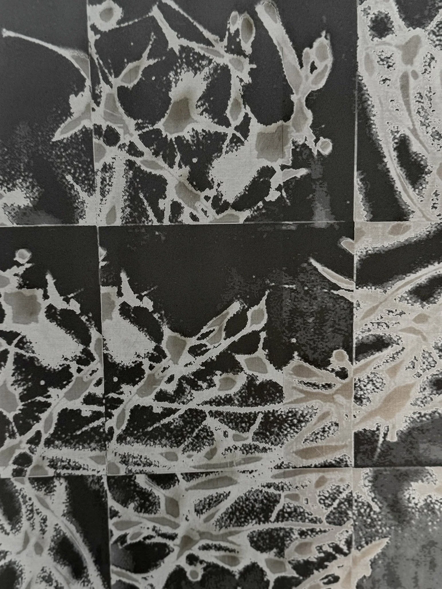 Ana [Argenti] w/b/s [1-4], detail 1, 2025 