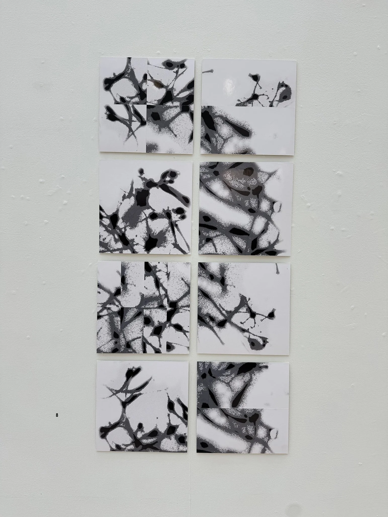 Conventus [bw8], v2.0, 2024 