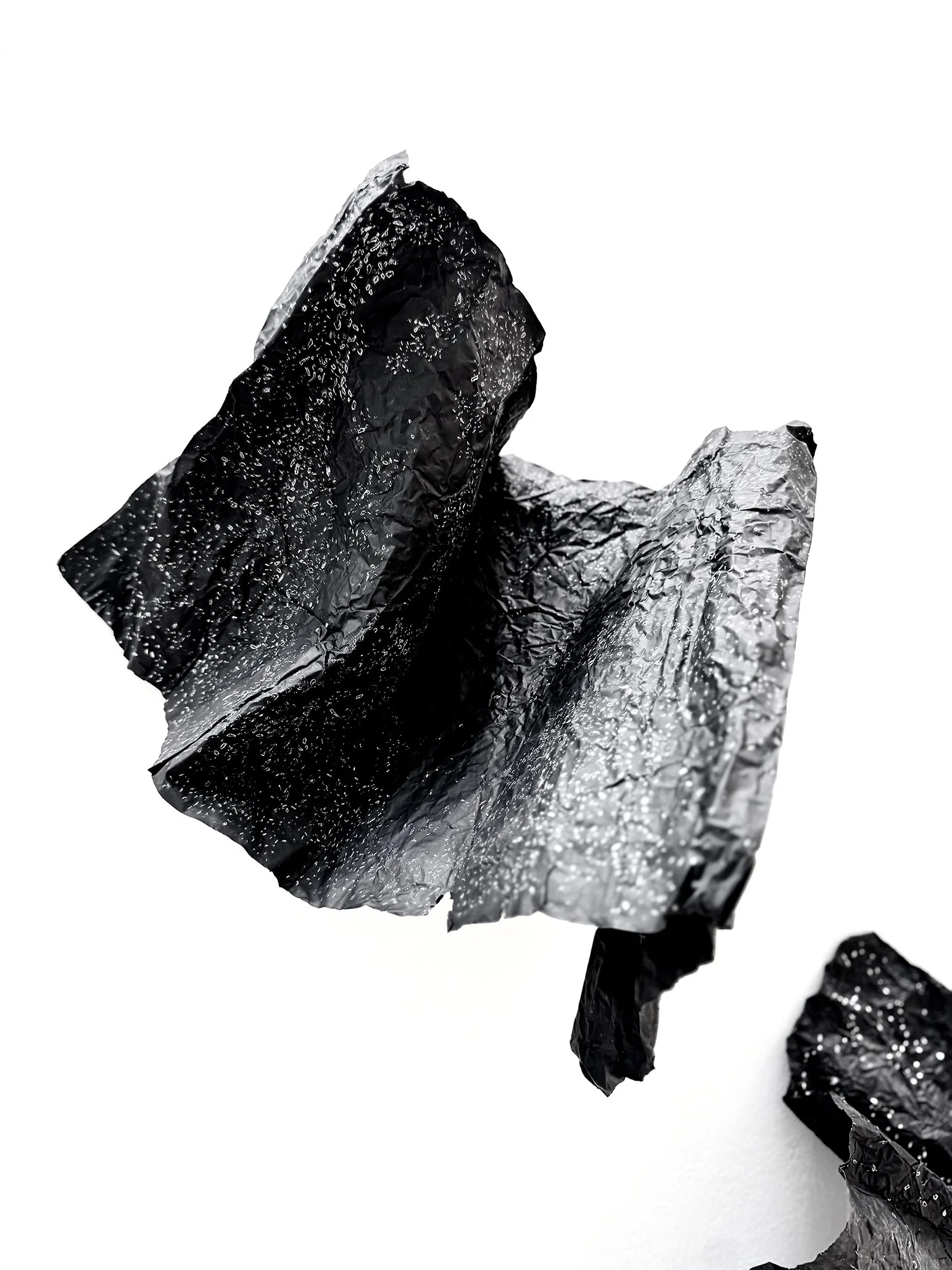 Vestigium Pulvis [FFoyle 1-6], detail 2, 2024