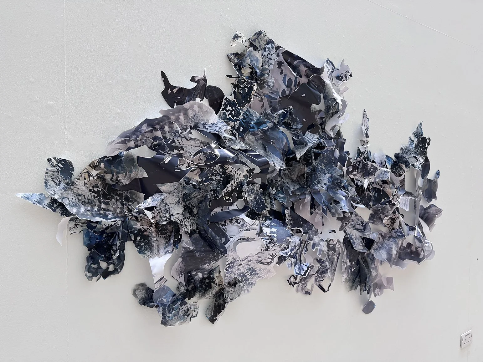 Typis [murus] charta SD1, 2025