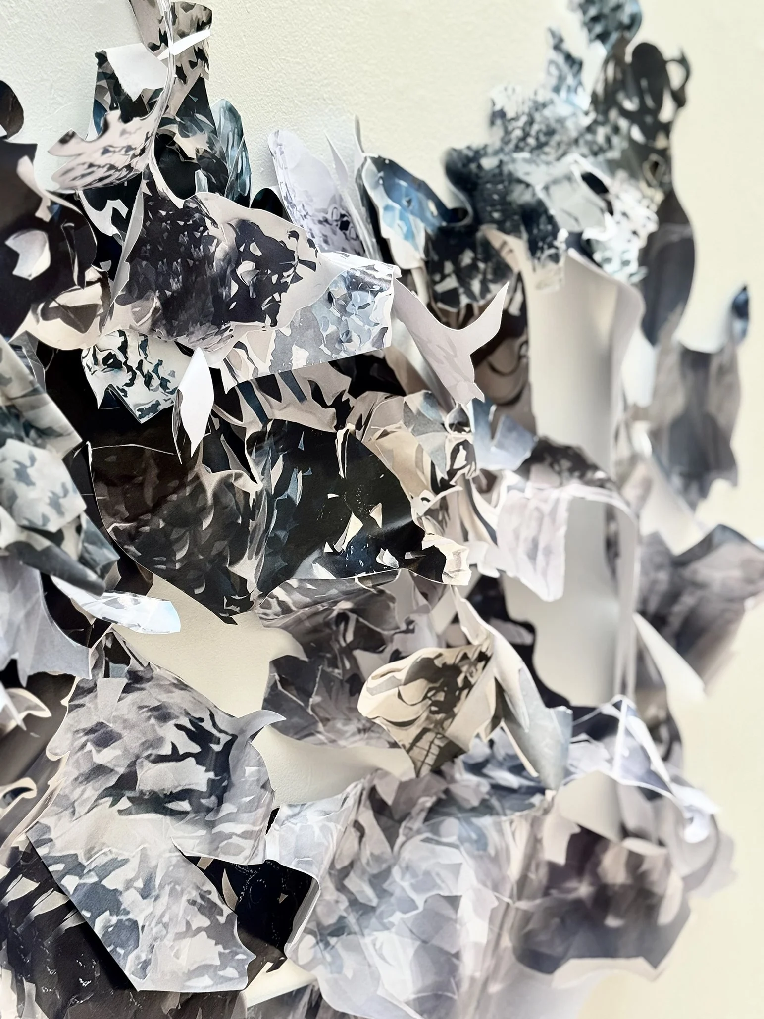 Typis [murus] charta SD detail, 2025  