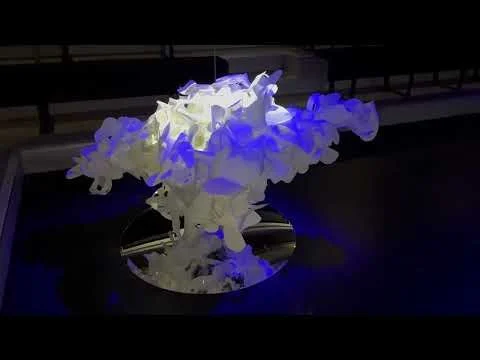 Kelly Cumberland, Helix Opt [LN24] 2024